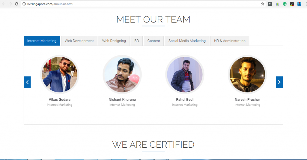 Number of SEO Team Members